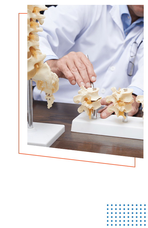 Chiropractic Bozeman MT Training Of A Chiropractor Chiropractic Bozeman MT Training Of A Chiropractor
